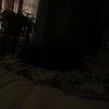 melissawatki527